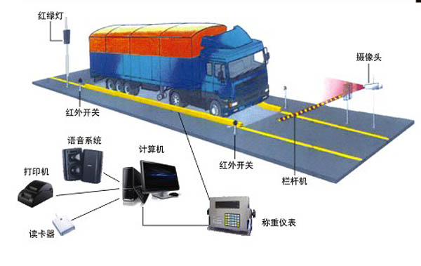 Full automatic weighing system